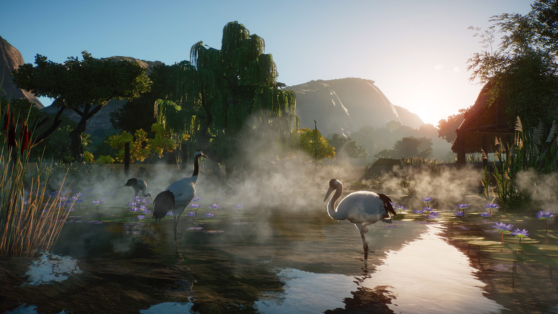 Planet Zoo: Wetlands Animal Pack