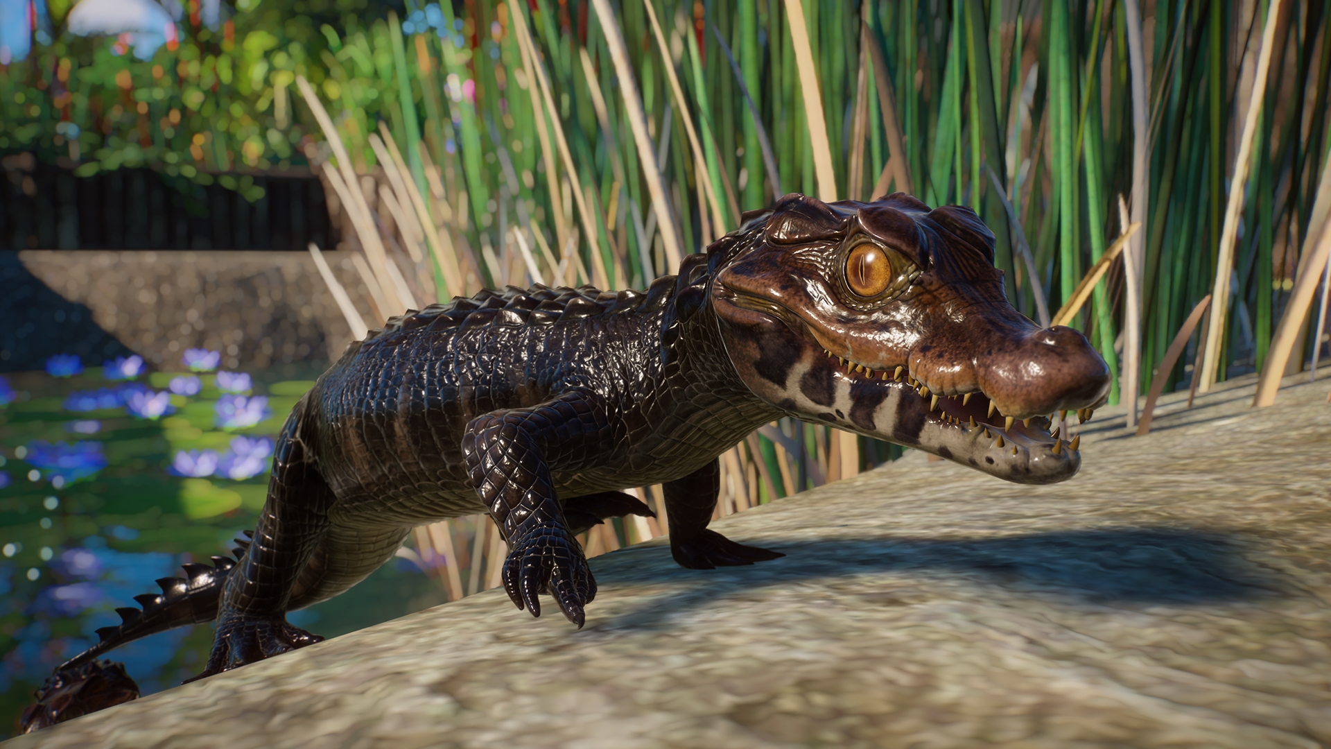 Planet Zoo: Aquatic Pack