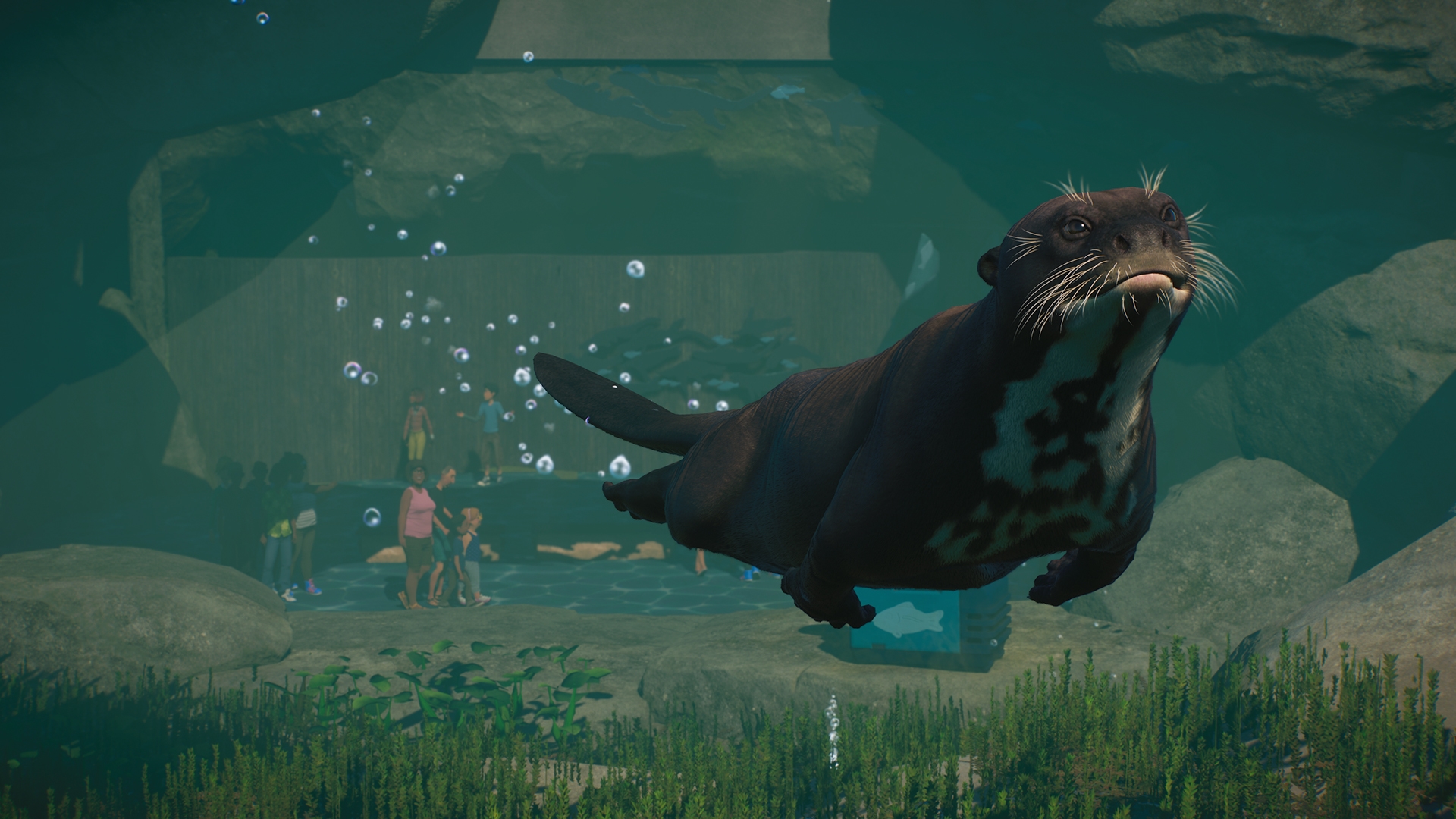 Planet Zoo: Aquatic Pack