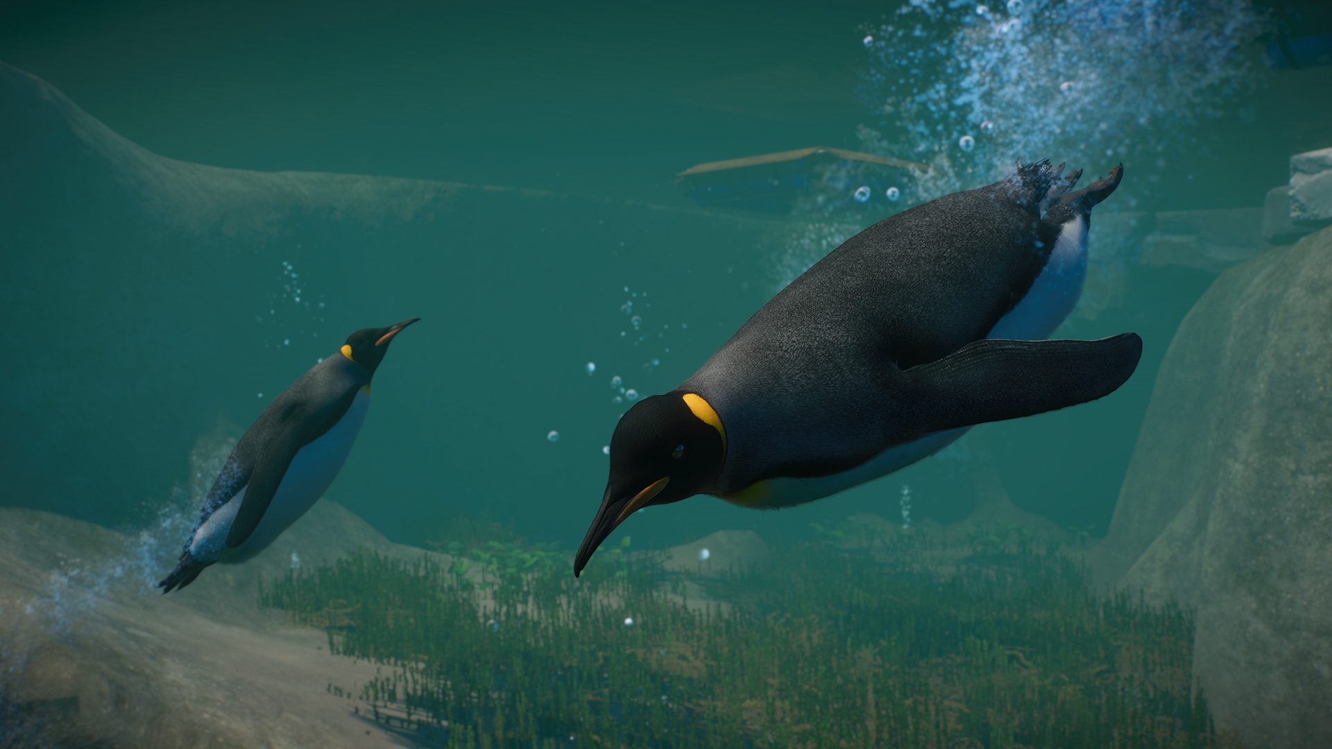 Planet Zoo: Aquatic Pack