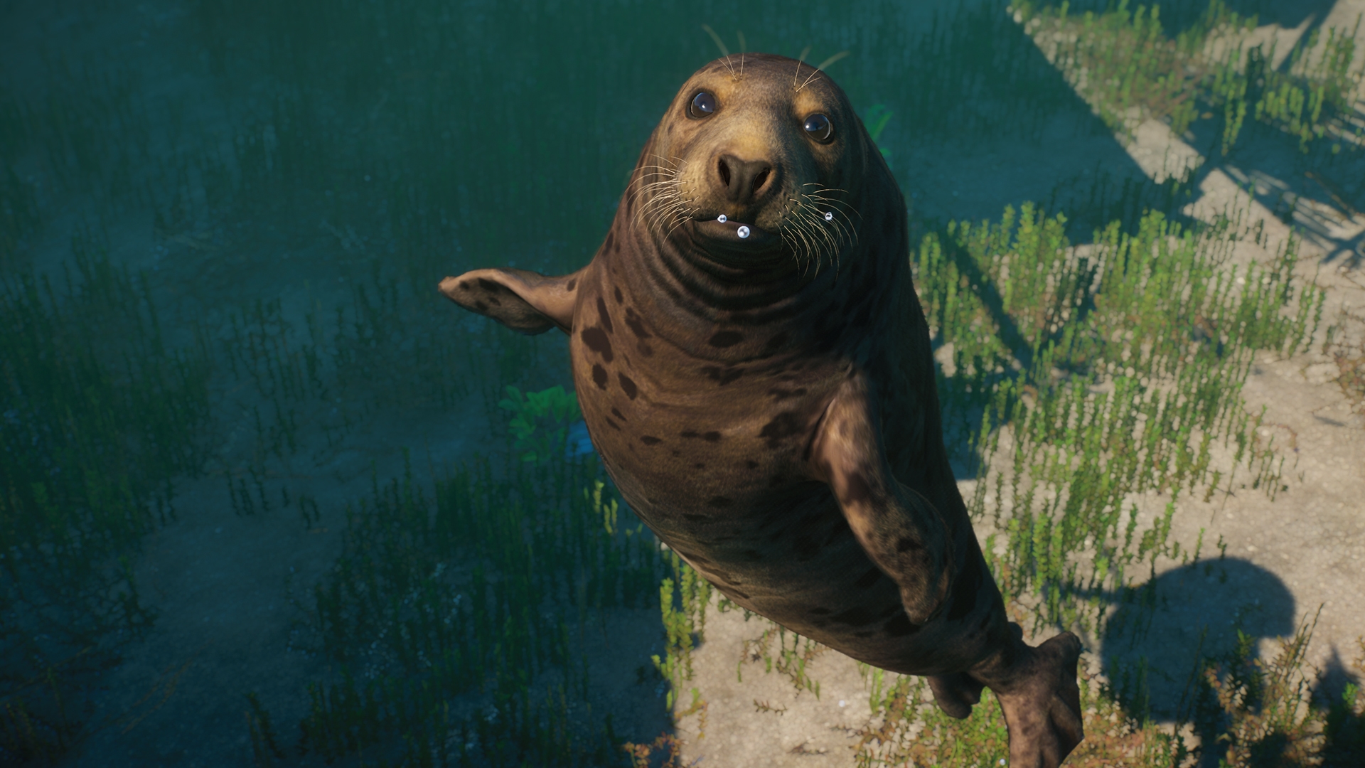 Planet Zoo: Aquatic Pack