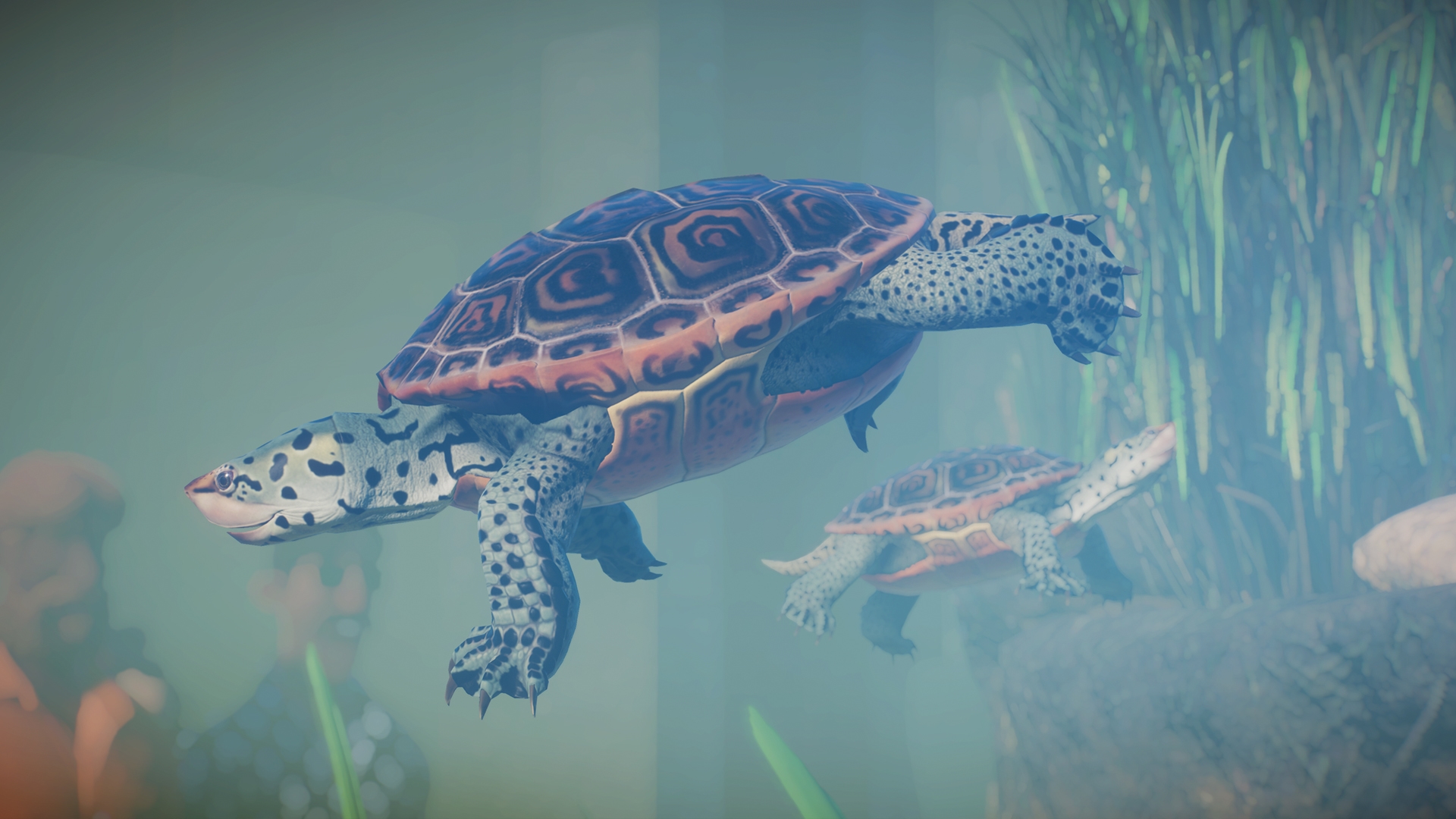 Planet Zoo: Aquatic Pack