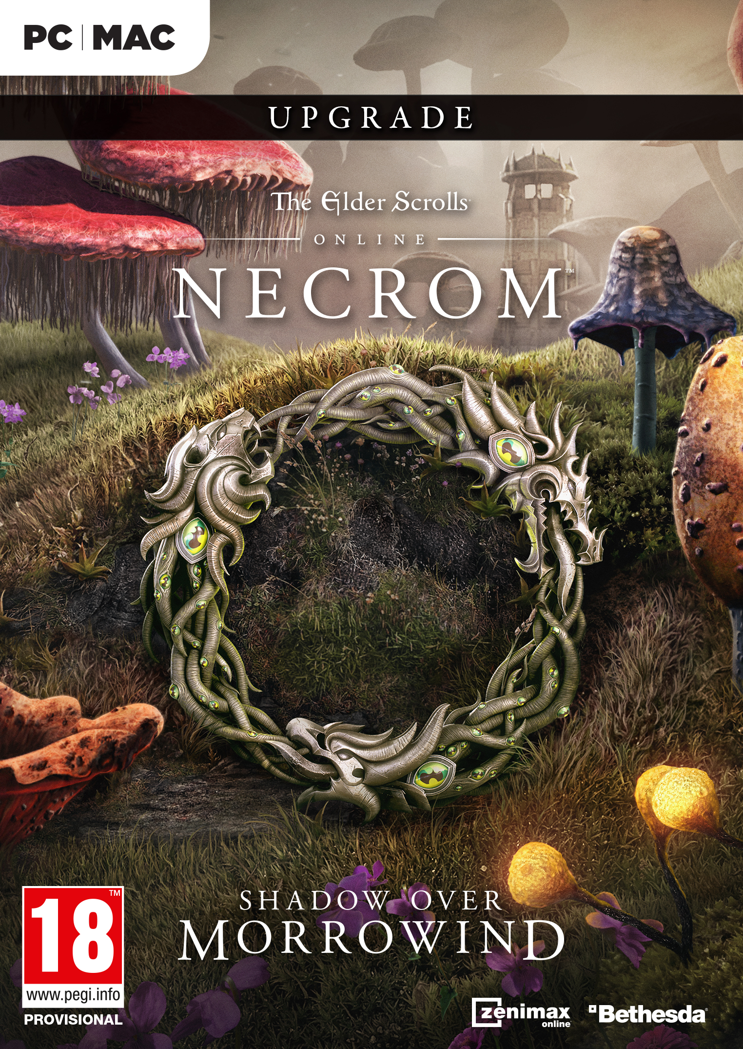 The Elder Scrolls Online Upgrade: Necrom (Elder Scrolls Online)