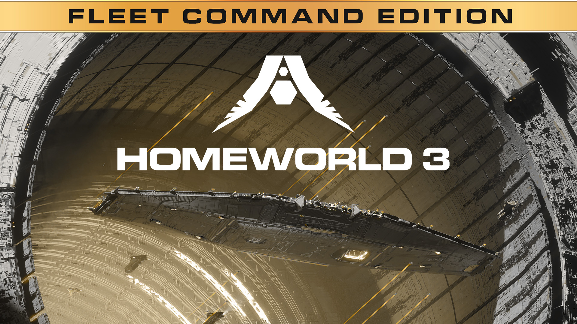 Homeworld 3 Fleet Command Edition