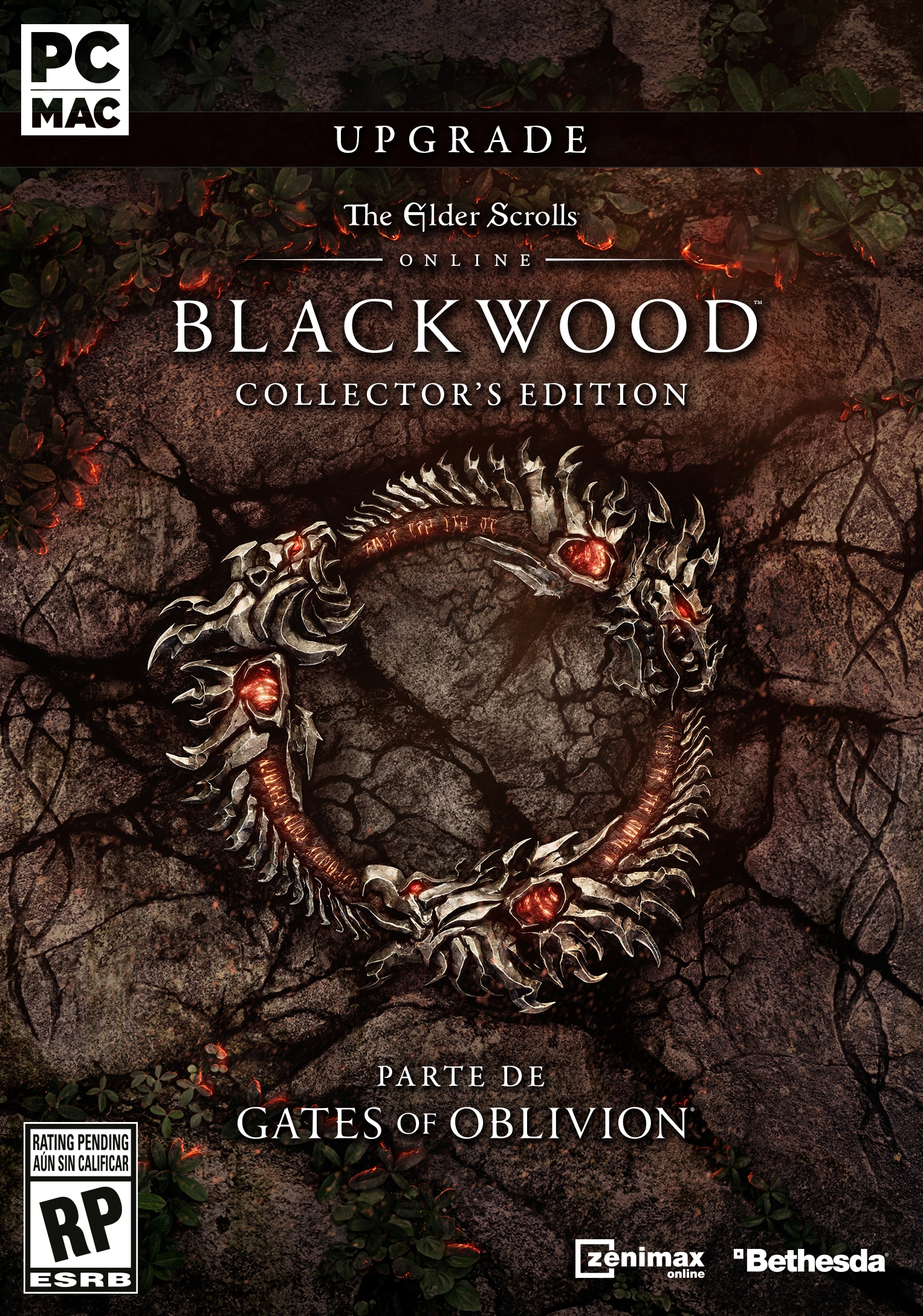 The Elder Scrolls Online: Blackwood Collector's Edition Upgrade (Bethesda)