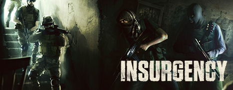 Insurgency