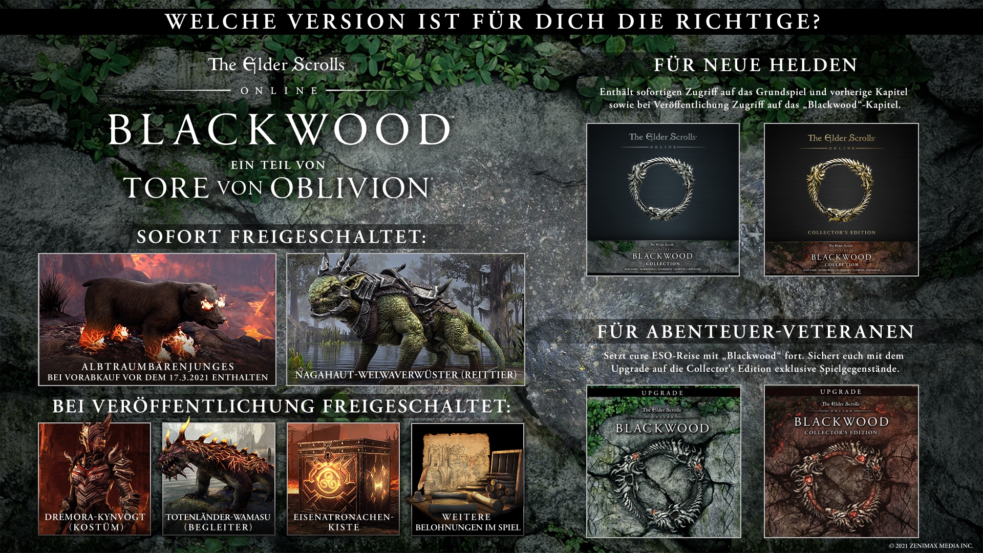 The Elder Scrolls Online Collection: Blackwood Collector's Edition (Bethesda)